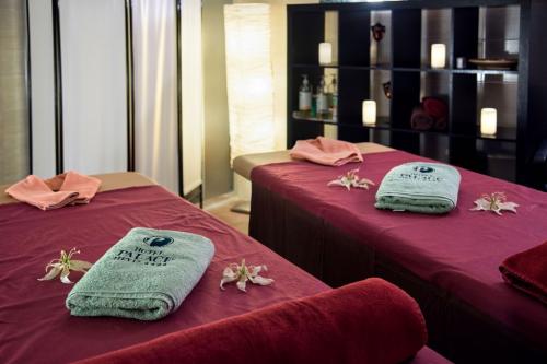 Wellness Wochenende in Hotel Palace Heviz, Wellness Behandlungen in Heviz