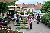 Hotel Irottkö in Köszeg - billige Unterkunft in der historischen Stadt Köszeg, nicht weit von der österreichischen Grenze, zu Aktionspreisen