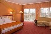 Kostenloses Hotelzimmer in Cserkeszolo im Aqua-Spa Wellness Hotel****