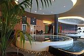 Wellness Wochenende - Wellness Pakete - Szeged Hotel Forras
