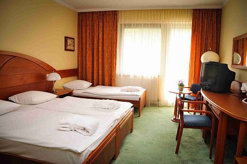 Hotel Lövér Sopron, Aktion im Packet mit Halbpansion! 
